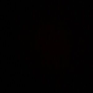 Meet your Posher, Avika